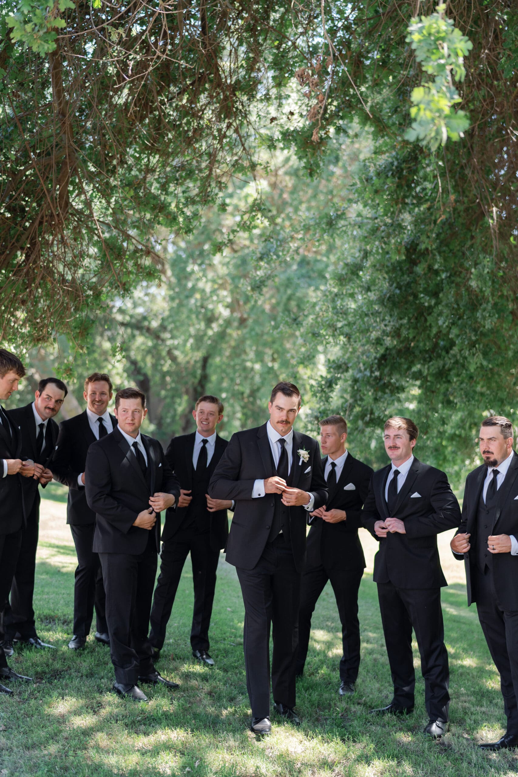 central california tented wedding9