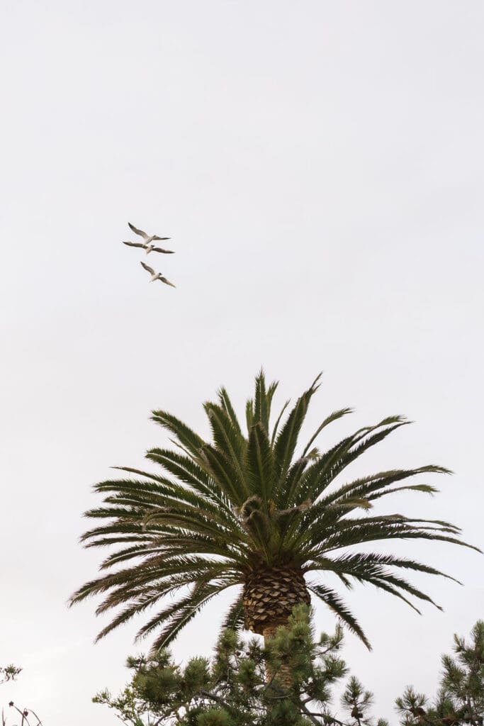engagement photos in victoria beach12