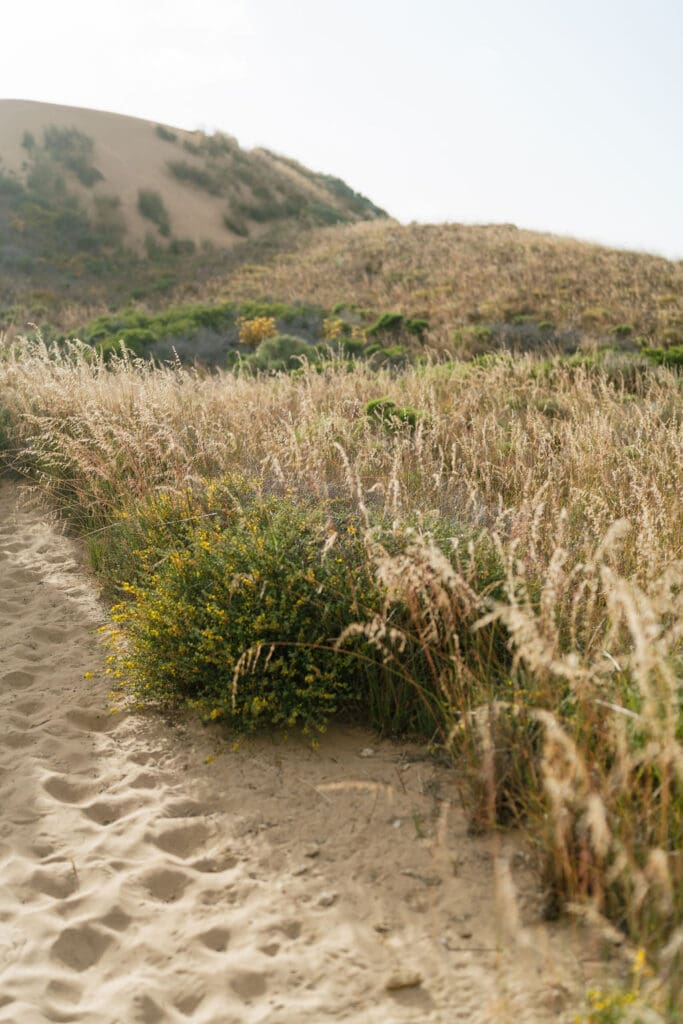 montana de oro engagement photos